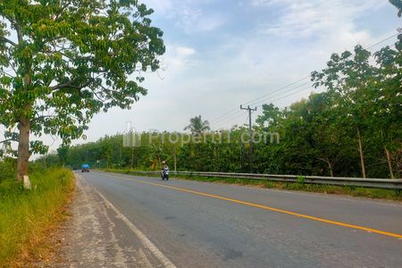Jual Tanah di Jl. Lintas Sumatera, Sukabanjar, Kec. Sidomulyo, Talang Baru, Lampung Selatan