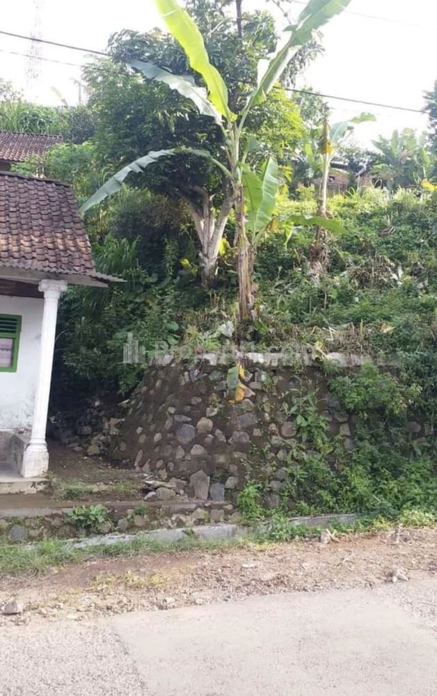 Dijual Tanah di Pasuruan, 5 Menit dari Taman Safari 2
