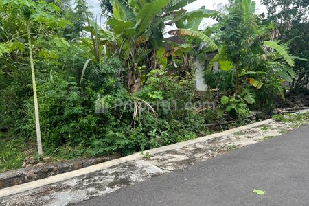 Jual Tanah Datar Harga 175 Juta Dekat Pasar Kedawung Sragen Jawa Tengah