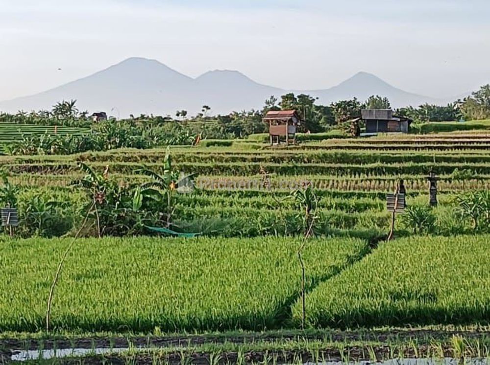 Jual Tanah di Banjar Anyar Kerobokan, Badung