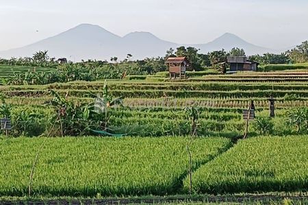 Jual Tanah di Banjar Anyar Kerobokan, Badung