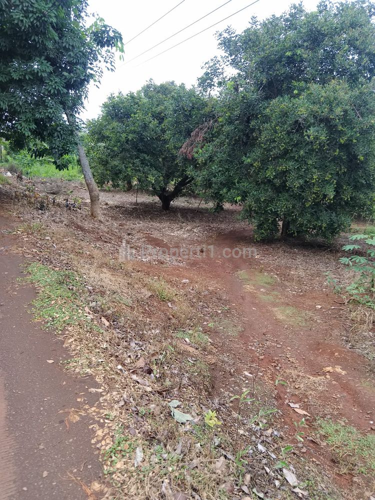 Jual Tanah Industri Pinggir Jalan Kaliamgsana Dekat Gerbang Tol Kalijati Subang