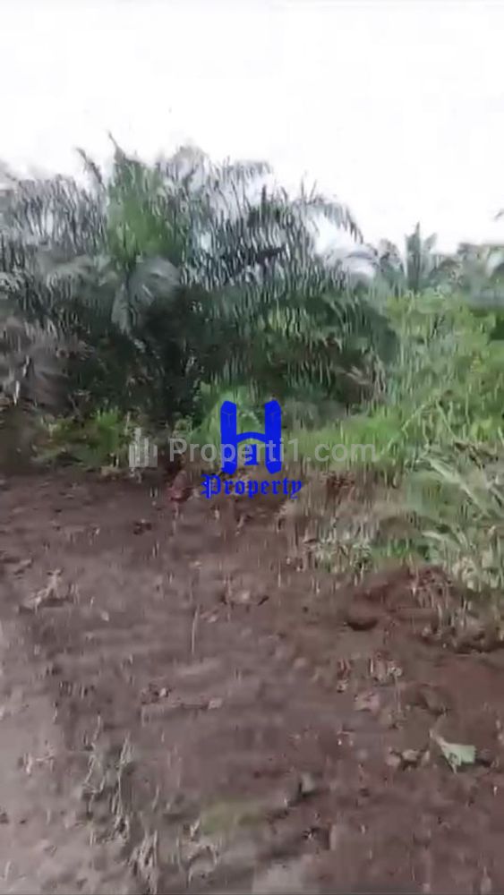Dijual Tanah di Desa Ujung Deleng, Sibolangit, Deli Serdang