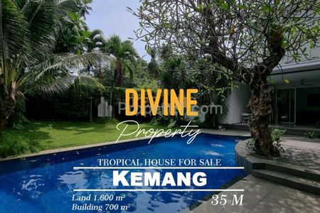 For Sale Tropical House with Private Pool at Ampera, Kemang Jakarta Selatan