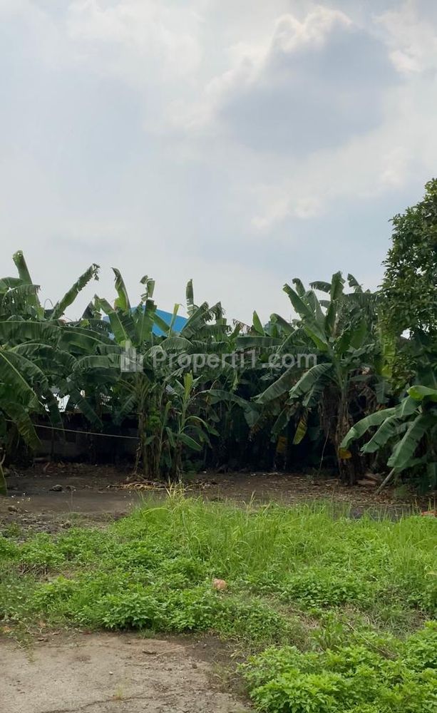 Dijual Tanah Komersil Selangkah dari Toll di Bambu Kuning, Cipayung, Jakarta Timur
