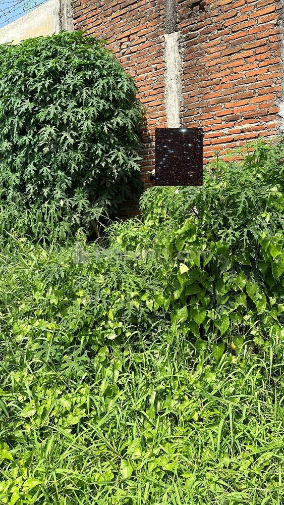 Dijual Tanah Sulfat Malang Dekat RS Ibu dan Anak, Harga di Bawah NJOP