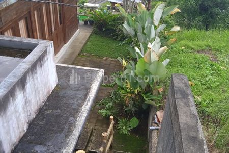 Jual Villa Pribadi Cantik Banget di Tabanan Bali