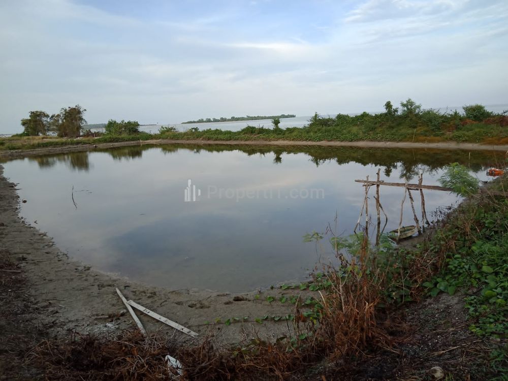 Dijual Cepat Tanah Tambak di Legundi Ketapang Lampung Selatan