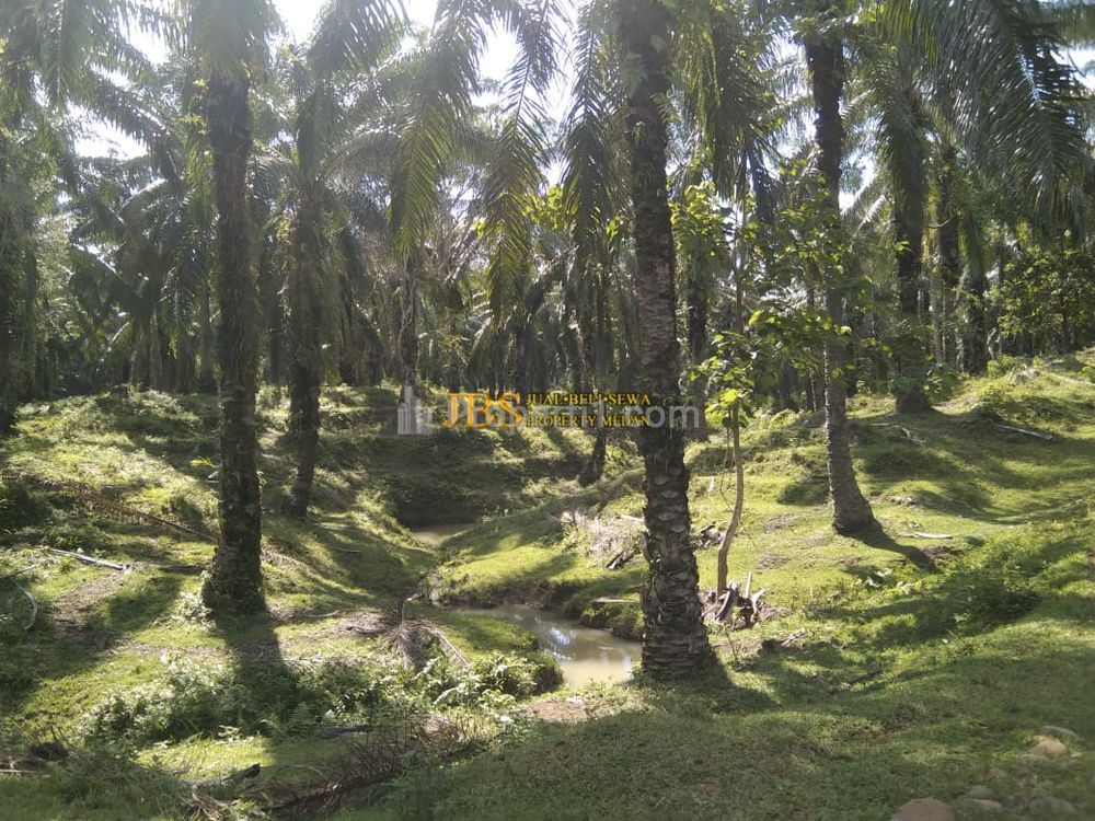 Dijual Tanah Kosong di Desa Lau Mulgap, Kec. Selesai, Kab. Langkat (Dekat PT HasFarm)