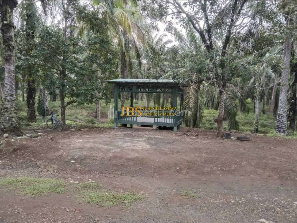 Dijual Tanah Kosong di Desa Lau Mulgap, Kec. Selesai, Kab. Langkat (Dekat PT HasFarm)