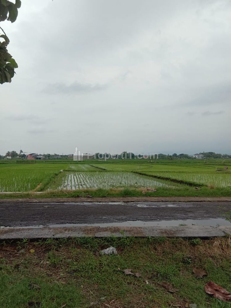 Dijual Tanah Super Datar 1147m² Masaran Sragen