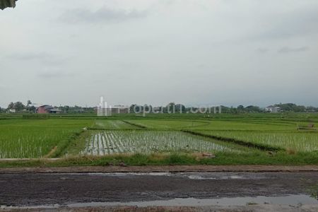 Dijual Tanah Super Datar 1147m² Masaran Sragen