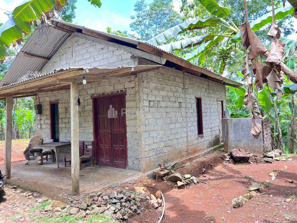 Dijual Murah 450 Juta Tanah Kebun Alpukat  2216m² di Kerjo Karanganyar Jawa Tengah