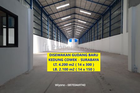 Disewakan Gudang Surabaya Timur di jalan Kedung Cowek Masih Baru Belum Pernah Digunakan Kontener Bisa Masuk