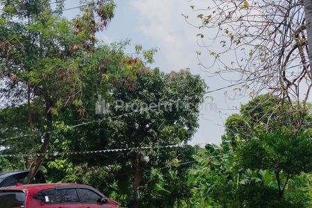 Dijual Segera Tanah Sendangguwo Selatan Dekat Sekolah SD SMP SMA Kampus RS Unimus Prima Semarang