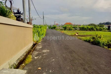 Disewakan Rumah 1 Lantai 5 Kamar Tidur di Denpasar Utara Bali