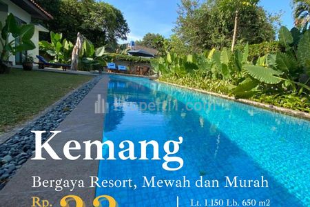 Jual Murah Rumah di Kemang Jakarta Selatan Bergaya Tropical dan Luas