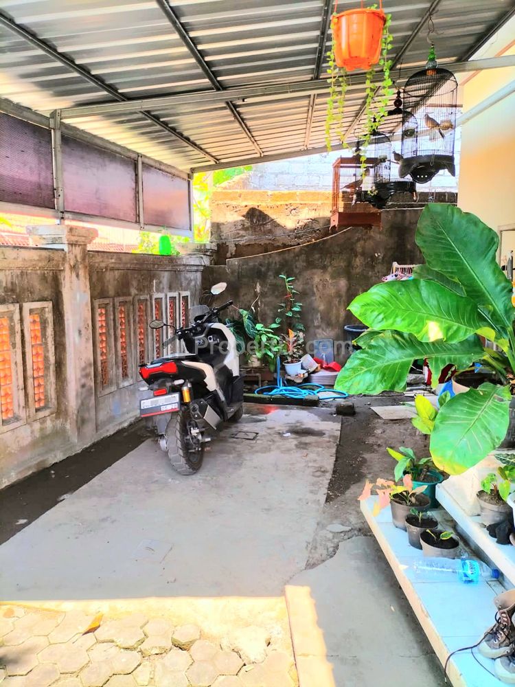 Dijual Rumah 4 KT di Ubung Dekat Jalan Cargo, Cokroaminoto, Kebo Iwa Denpasar Bali