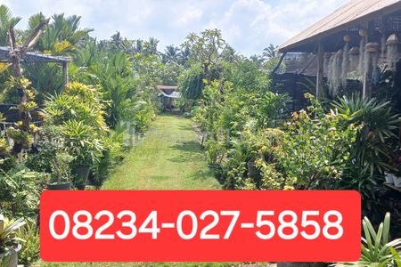 Dijual Tanah 20 Are di Jl. Denpasar - Singaraja Mengwi Badung Bali