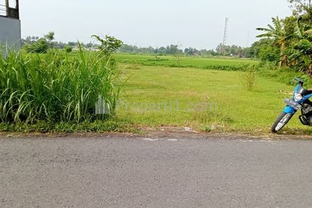 Jual Tanah Luas Murah di Kawasan Bluyahan Bantul Jogjakarta