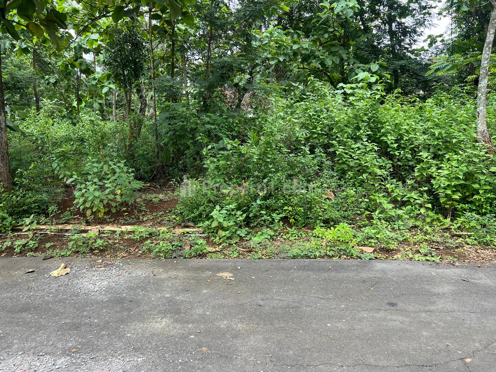 Dijual Murah Pekarangan Super Datar 740m² Karanganyar Utara