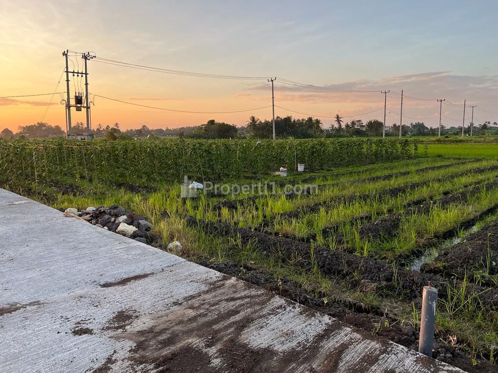 Dijual Tanah 5 Are Dekat Pantai Kedungu Belalang Tabanan Bali