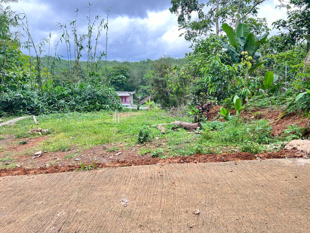 Dijual Tanah Murah 150 Juta Siap Bangun di Karangpandan Karanganyar