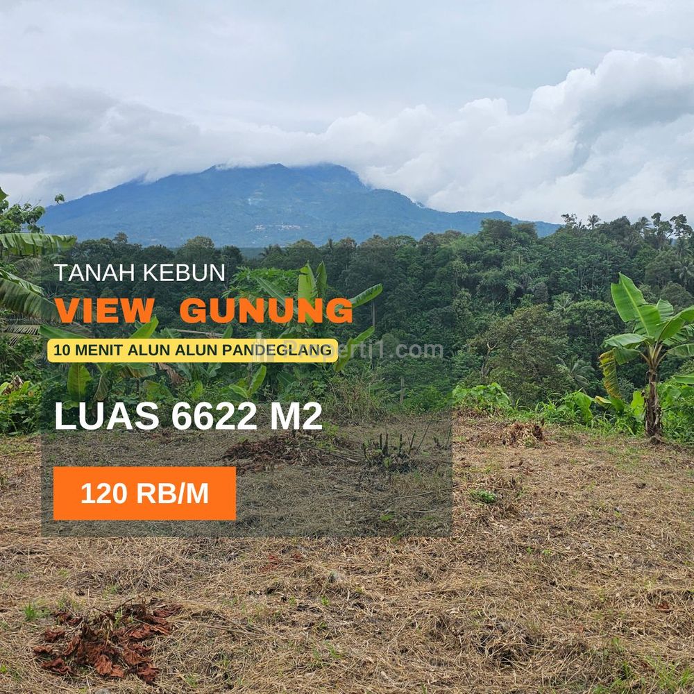Dijual Tanah Luas Cocok untuk Villa, Pondok Pesantren dan Perkebunan di Pandeglang Banten