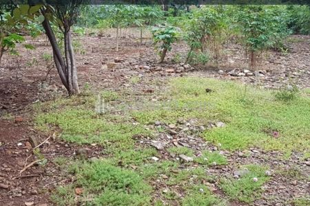 Dijual Tanah Hunian di Cipete Utara, Cengkareng, Jakarta Selatan