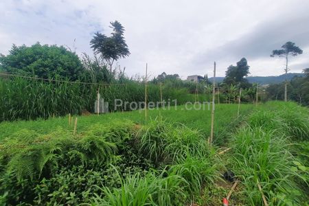 Jual Tanah Cocok Investasi dan Berkebun di Jl Sukadami Lembang, Bandung Barat