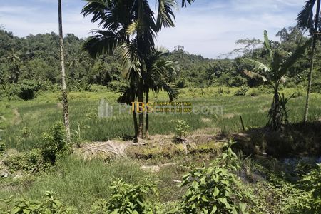 Dijual Tanah Kosong di Desa Bengkurung, Jalan Sembahe, Namorambe, Deli Serdang