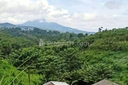 Jual Murah Nego Tanah SHM Ada Kandang Sapi Luas 6,5 Hektar Lokasi Pinggir Jalan di Cipeuteuy, Kabandungan, Sukabumi, Jawa Barat