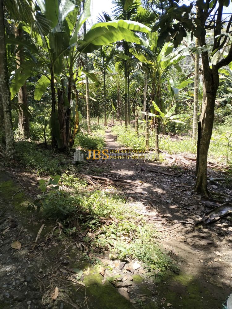 Dijual Tanah Kosong di Desa Bengkurung, Jalan Sembahe, Namorambe, Deli Serdang