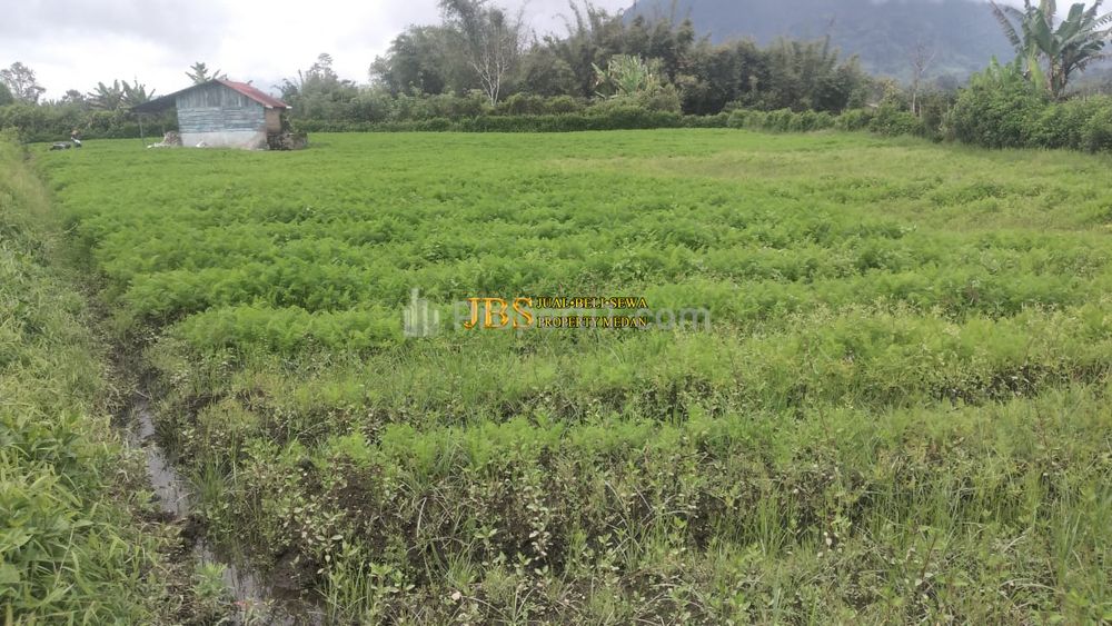 Tanah Kosong Dijual di Tanjung Barus - Berastagi