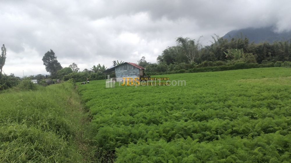 Tanah Kosong Dijual di Tanjung Barus - Berastagi