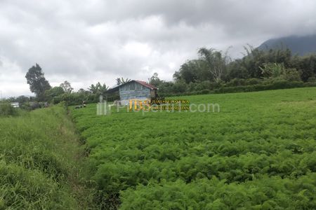 Tanah Kosong Dijual di Tanjung Barus - Berastagi