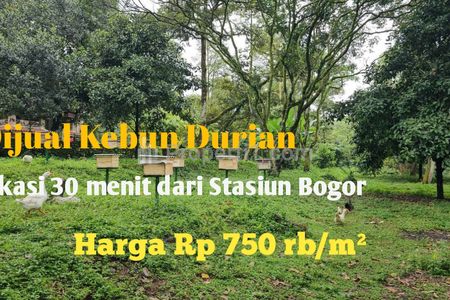 Dijual Tanah Kebun Durian Bonus 2 Villa 2 Lantai Lokasi Dekat Stasiun Bogor