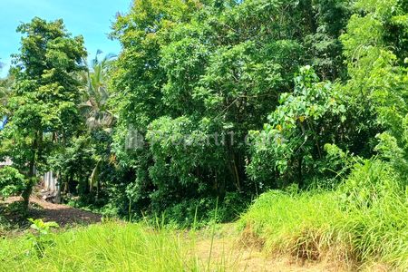 Disewakan Tanah 2500 m2 Dekat Pantai Bonian Selemadeg Tabanan Bali