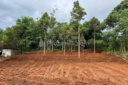 Dijual Tanah Datar 2305m² Siap Bangun di Karanganyar Jawa Tengah