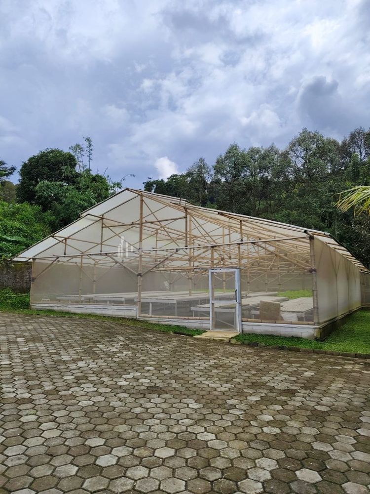 Jual Tanah Kebun Durian 6 Km ke Perumahan Bogor Nirwana Residence