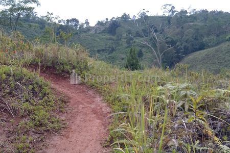 Dijual Tanah Kebun Luas dan Murah di Tasikmalaya