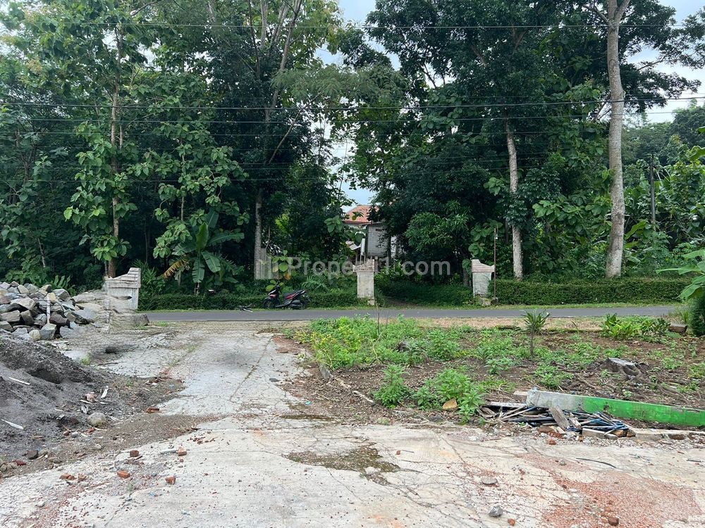 Dijual Super Datar Pekarangan 1500m² Utara Pasar Mojogedang