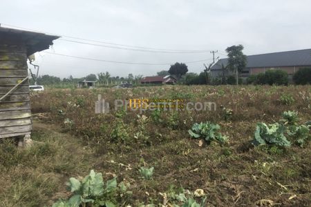 Dijual Tanah Kosong di Daerah Karo Jalan Barusjahe, Barusjulu, Kec. Barusjahe