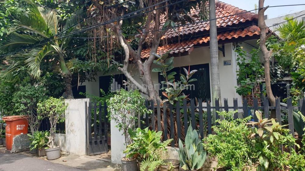 Jual Cepat Murah Nego Rumah Tua SHM Luas Tanah 355 m2 di Menteng, Jakarta Pusat