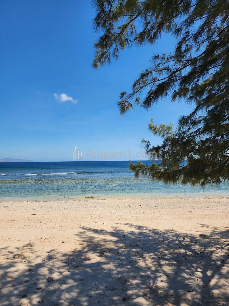 Dijual Tanah Los Pantai Sumba Timur Kanatang Hamba Praing Nusa Tenggara Timur