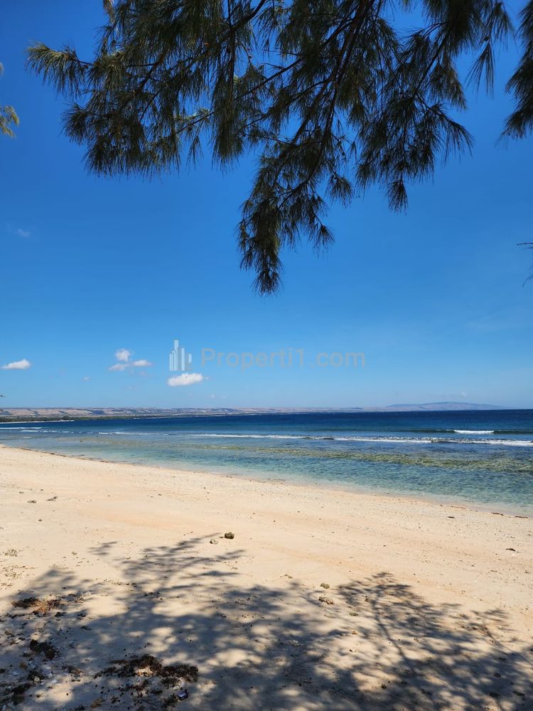 Dijual Tanah Los Pantai Sumba Timur Kanatang Hamba Praing Nusa Tenggara Timur