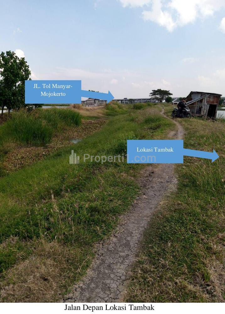 Dijual Tanah NOL Jalan Raya Tambak Beras - Cerme - Gresik - Jawa Timur - STRATEGIS Dekat Akses Jalan TOL