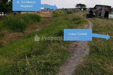 Dijual Tanah NOL Jalan Raya Tambak Beras - Cerme - Gresik - Jawa Timur - STRATEGIS Dekat Akses Jalan TOL