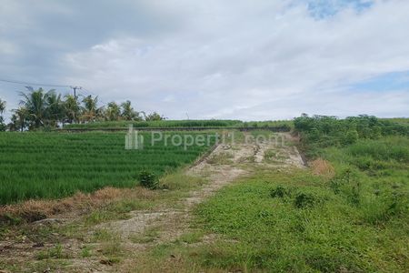 Dijual Tanah View Sawah dan Sungai di Kerambitan Tabanan Bali