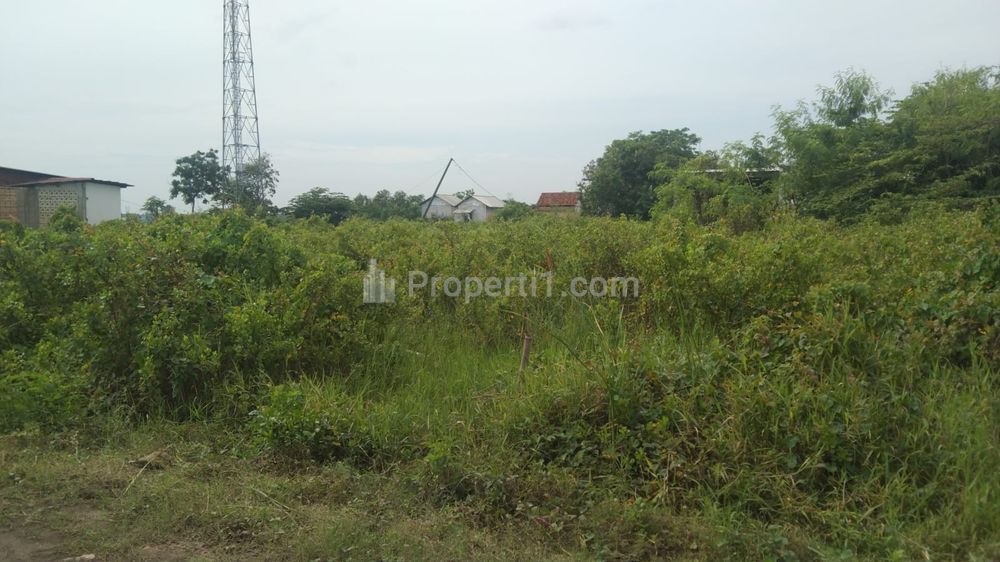 Dijual Tanah Kavling Strategis Dekat Pasar dan Jalan Pantura Patrol, Indramayu